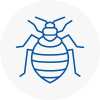 Bed Bug Extermination In Swanley