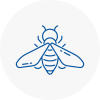 Bee Nest Removal Swanley