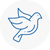 Bird Prevention Swanley