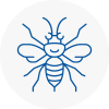 Swanley Hornet Nest Removals