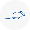 Mice Exterminators In Swanley