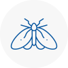 Moth Control Specialists In Swanley