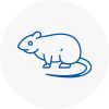 Rat Control Swanley