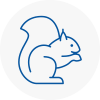 Swanley Rodent Removals